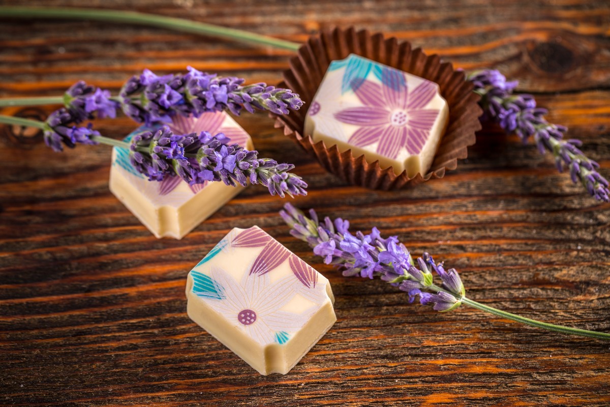 Candy Melts Vs White Chocolate Which One Is Better?